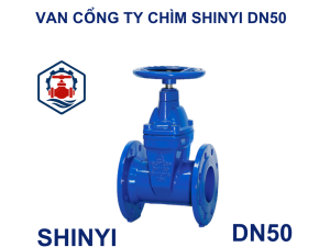 Van cổng ty chìm Shinyi DN50