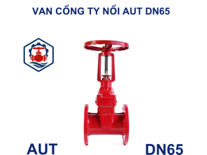 Van cổng ty nổi AUT DN65
