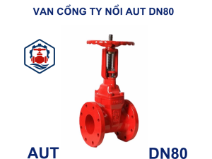 Van cổng ty nổi AUT DN80