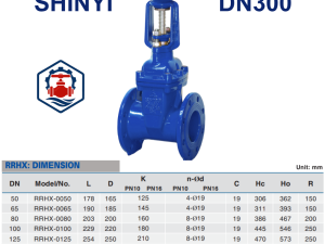 Van cổng ty nổi Shinyi DN300