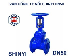 Van cổng ty nổi Shinyi DN50 5 Van cổng ty nổi Shinyi DN50