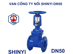 Van cổng ty nổi Shinyi DN50