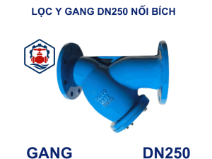 Lọc y gang DN250 nối bích