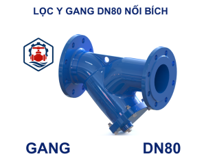 Lọc y gang DN80 nối bích