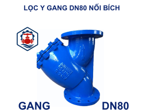 Lọc y gang DN80 nối bích