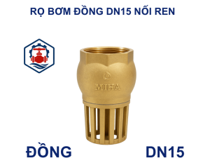 Rọ bơm đồng DN15 nối ren