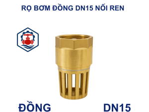 Rọ bơm đồng DN15 nối ren