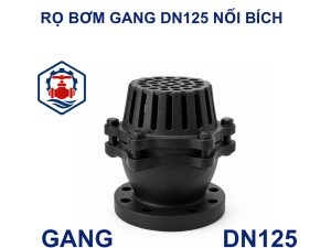 Rọ bơm gang DN125 nối bích