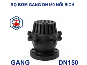 Rọ bơm gang DN150 nối bích