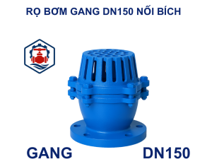 Rọ bơm gang DN150 nối bích