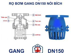 Cấu Tạo Rọ bơm gang DN150 nối bích