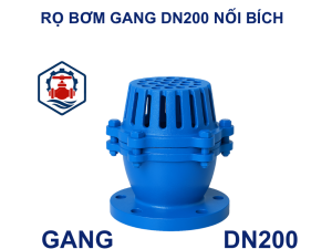 Rọ bơm gang DN200 nối bích 9 Rọ bơm gang DN200 nối bích
