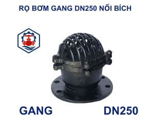 Rọ bơm gang DN250 nối bích
