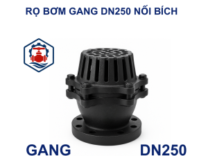 Rọ bơm gang DN250 nối bích