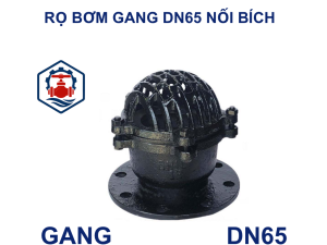 Rọ bơm gang DN65 nối bích