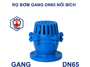 Rọ bơm gang DN65 nối bích