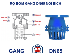 Cấu Tạo Rọ bơm gang DN65 nối bích
