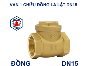 Van 1 chiều đồng lá lật DN15