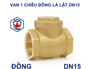 Van 1 chiều đồng lá lật DN15