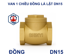 Van 1 chiều đồng lá lật DN15