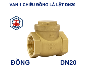 Van 1 chiều đồng lá lật DN20