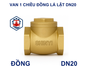 Van 1 chiều đồng lá lật DN20