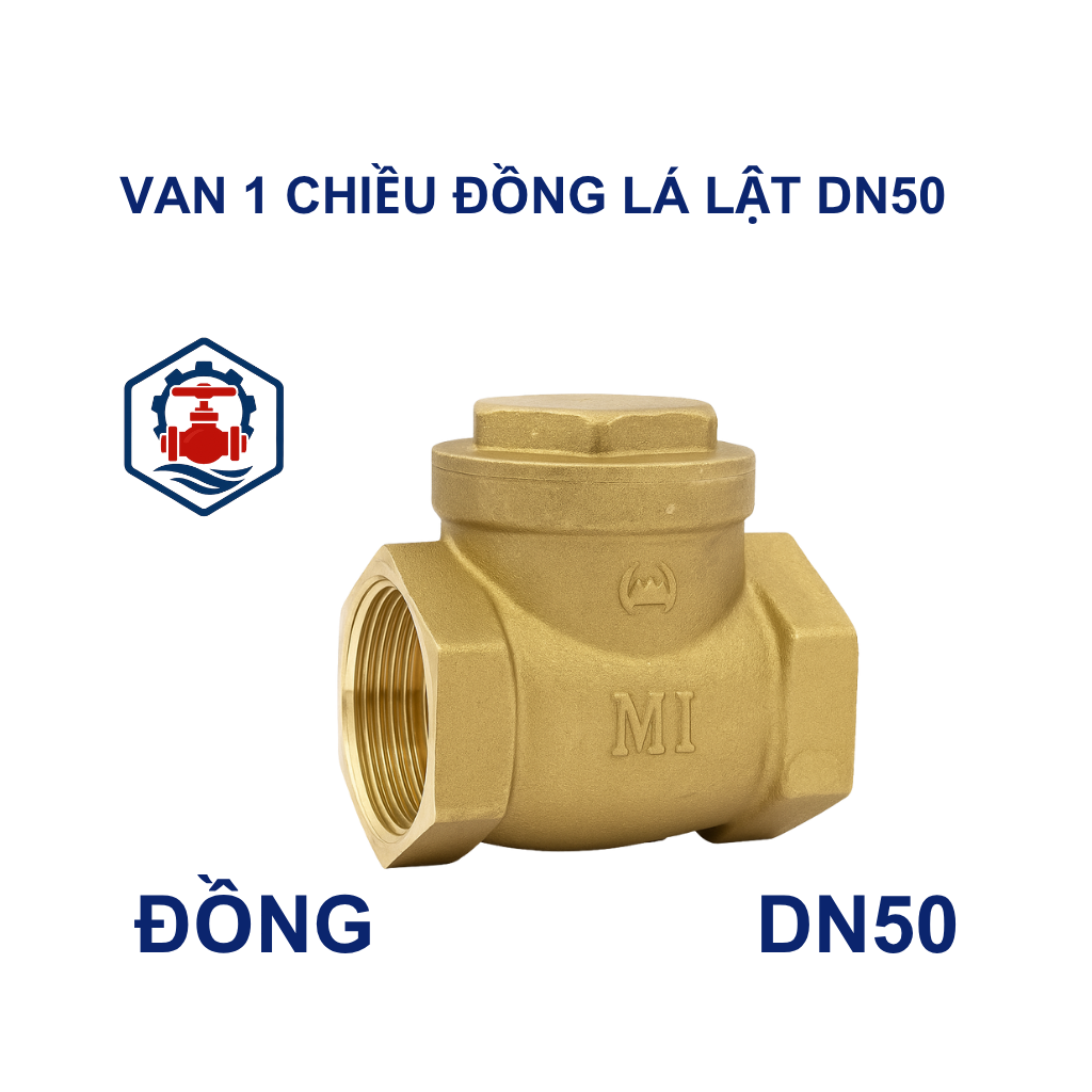 Van 1 chiều đồng lá lật DN50 15 Van 1 chiều đồng lá lật DN50