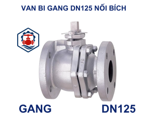 Van bi gang DN125 nối bích