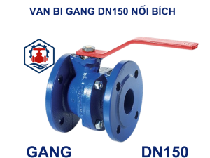 Van bi gang DN150 nối bích