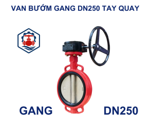 Van bướm gang DN250 tay quay 6 Van bướm gang DN250 tay quay