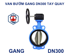 Van bướm gang DN300 tay quay