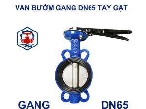 Van bướm gang DN65 tay gạt 8 Van bướm gang DN65 tay gạt