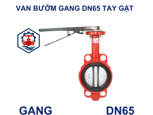 Van bướm gang DN65 tay gạt 7 Van bướm gang DN65 tay gạt