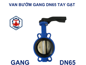 Van bướm gang DN65 tay gạt
