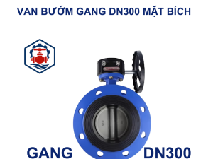 Van bướm mặt bích DN300