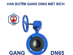 Van bướm mặt bích DN65 7 Van bướm mặt bích DN65