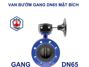 Van bướm mặt bích DN65 10 Van bướm mặt bích DN65