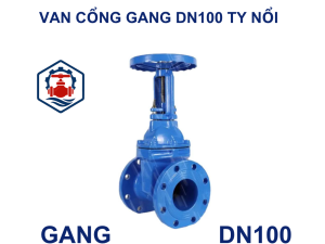 Van cổng gang DN100 ty nổi