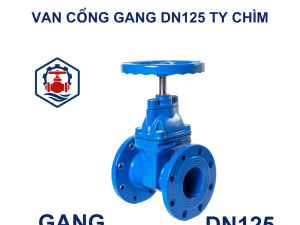 Van cổng gang DN125 ty chìm