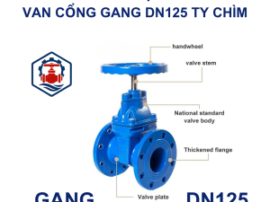 Cấu Tạo Van cổng gang DN125 ty chìm