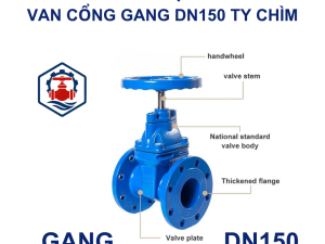 Cấu Tạo Van cổng gang DN150 ty chìm