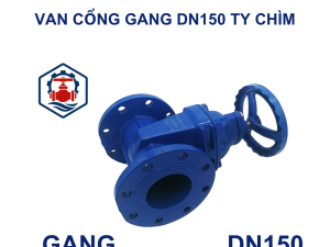 Van cổng gang DN150 ty chìm