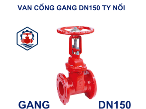 Van cổng gang DN150 ty nổi