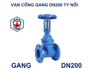 Van cổng gang DN200 ty nổi