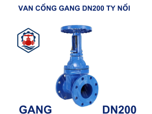 Van cổng gang DN200 ty nổi