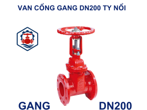 Van cổng gang DN200 ty nổi