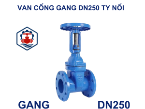 Van cổng gang DN250 ty nổi