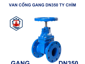 Van cổng gang DN350 ty chìm