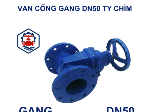 Van cổng gang DN50 ty chìm