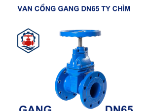 Van cổng gang DN65 ty chìm